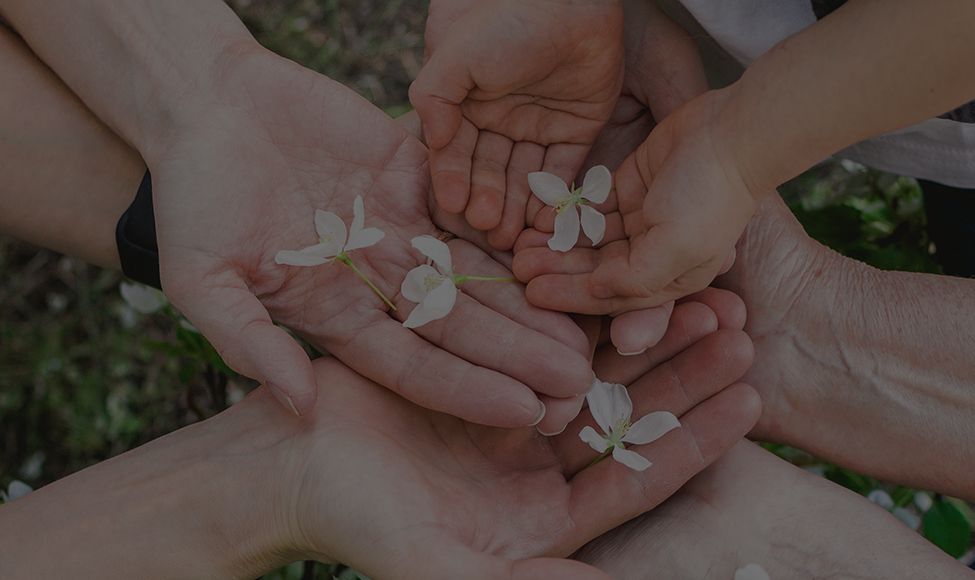 자원봉사 안내 및 신청|||